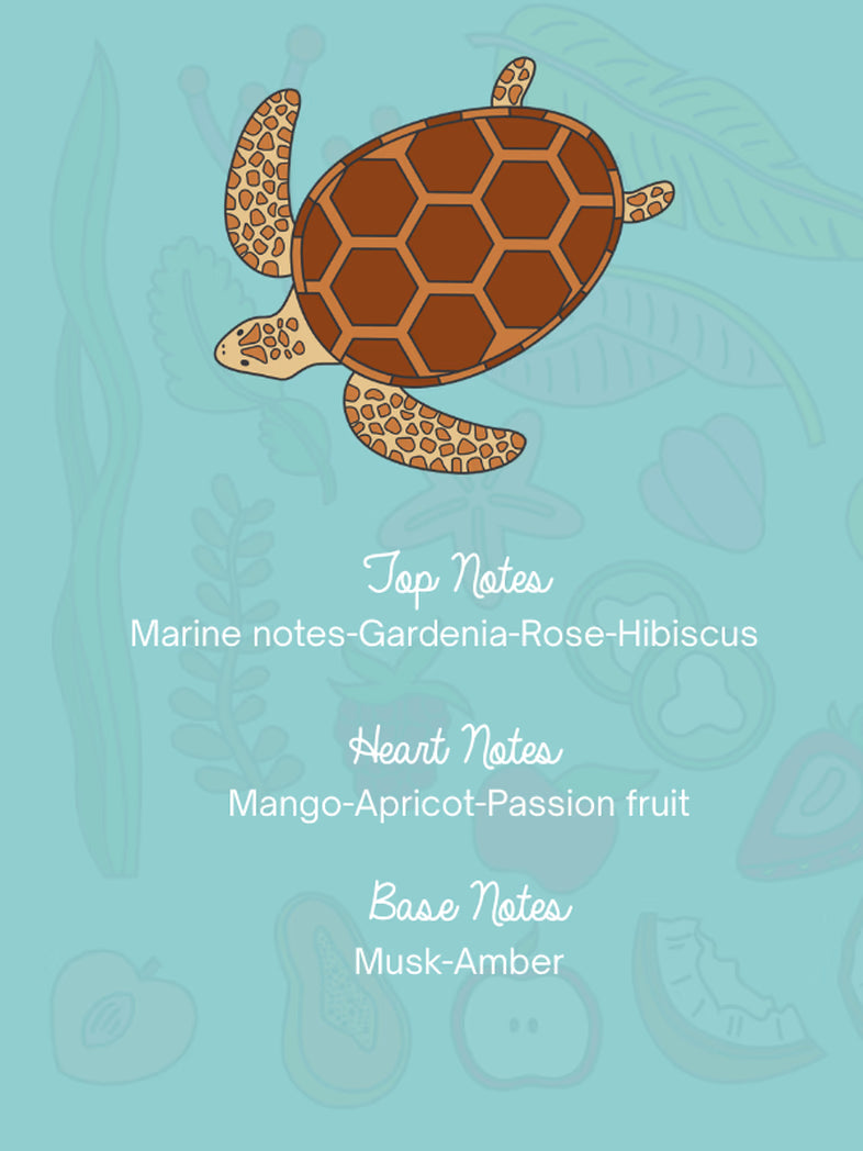 Seezauber Butter Cream 90 mL- Fibesa GmbH